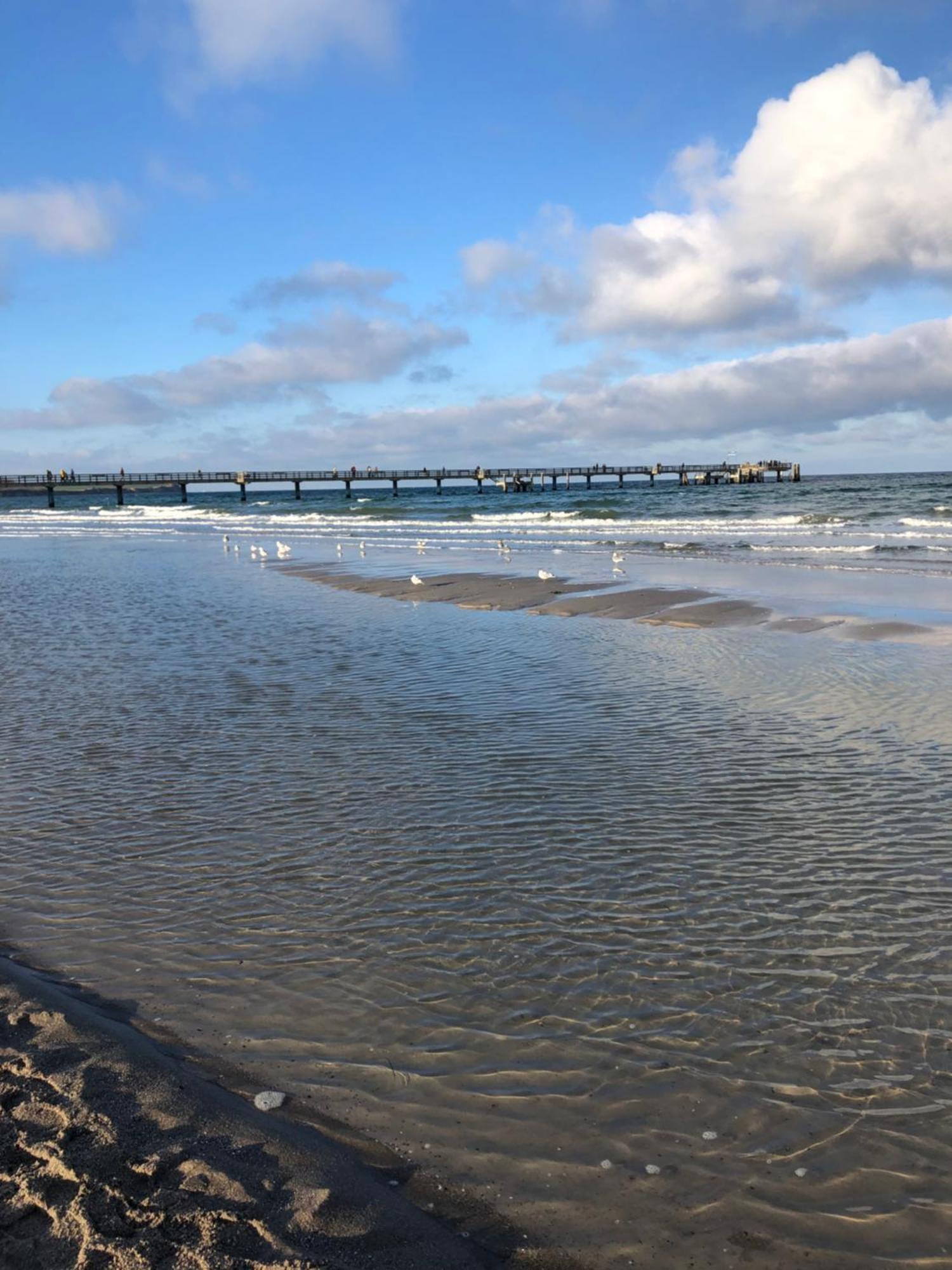 Strandvilla Waldhaus بولتينهاجين المظهر الخارجي الصورة